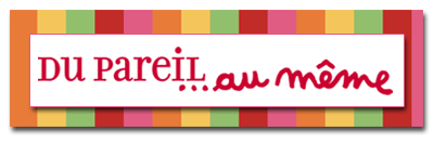 Logo_du-pareil-au-meme